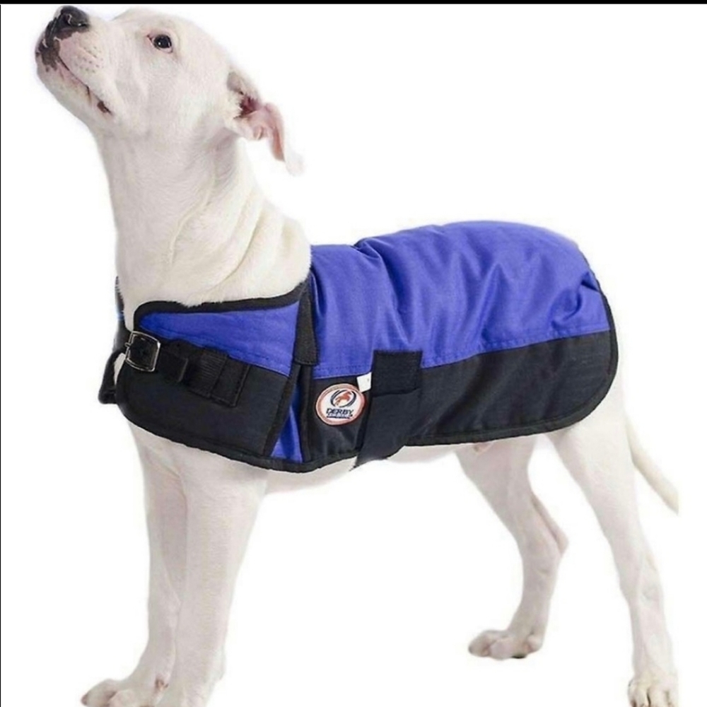 SMALL 13.5” LONG Derby Originals 600D Waterproof Dog Blanket Royal Blue …